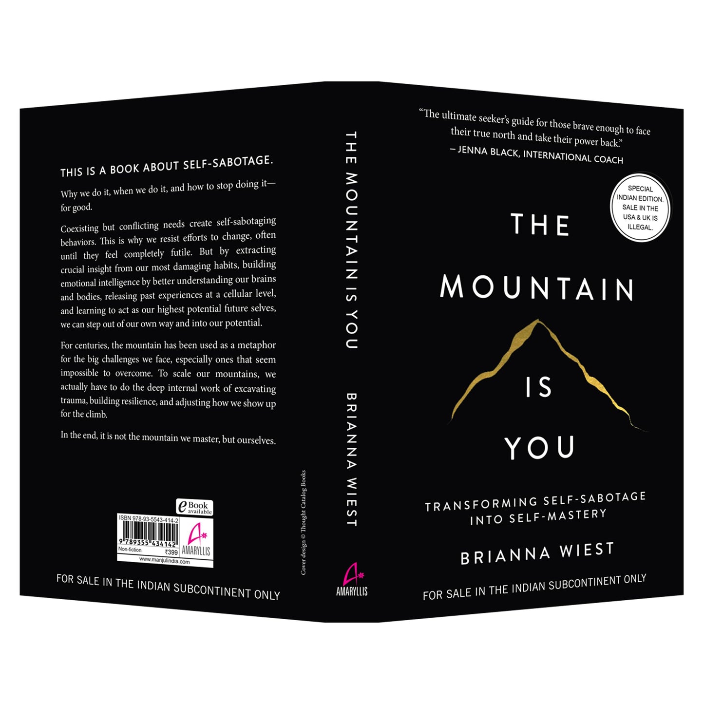 The Mountain Is You: Transforming Self-Sabotage Into Self-Mastery (English)