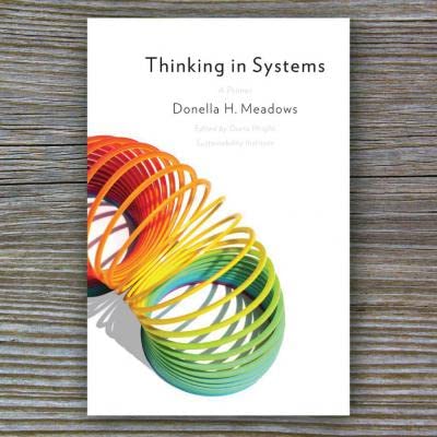 Thinking in Systems: International Bestseller