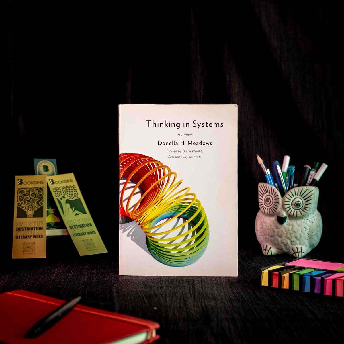 Thinking in Systems: International Bestseller