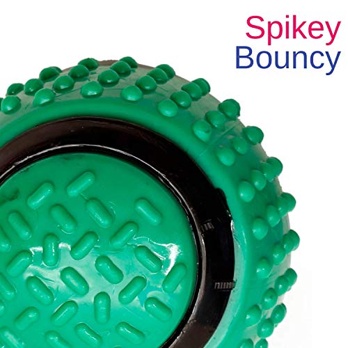 The Pets Company Big Rubber Ball Toy for Medium and Large Dogs, 4 Inches,